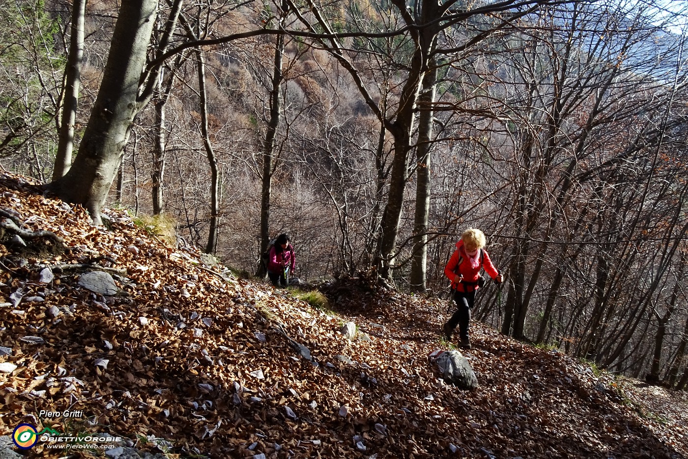 11 Saliamo nel bosco su sentiero tapezzato di foglie.JPG